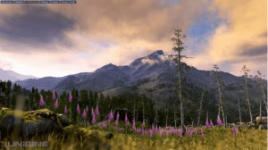 ungine valley