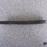 DSCF1428