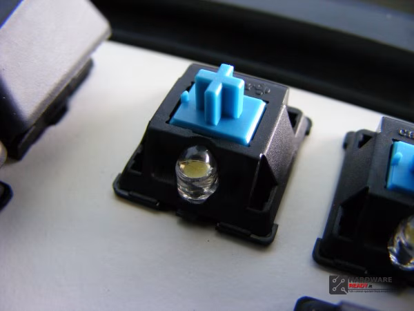 DSCF2228