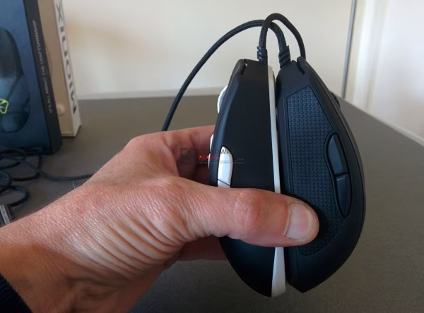 IMG_20150911_095019