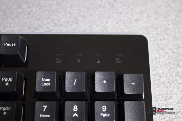 IMG_1192