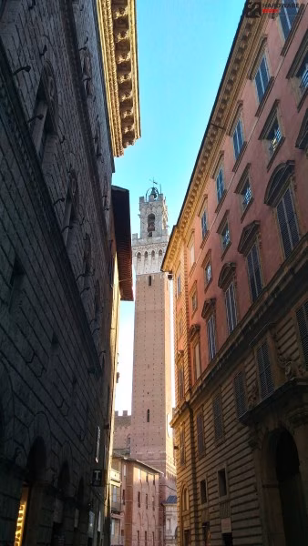 HDR2