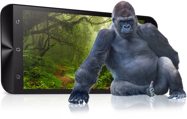 gorilla