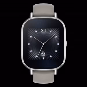 a466c9356543e77605b927d49b29eb6840f1003c.WI502Q-Wren-_Silver-with-leather-Khaki_02_w580_h580