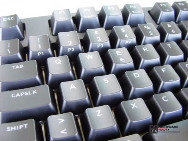 DSCF2564