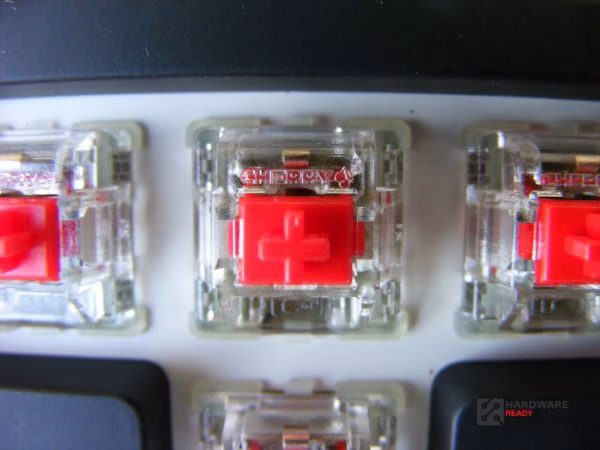 DSCF2577