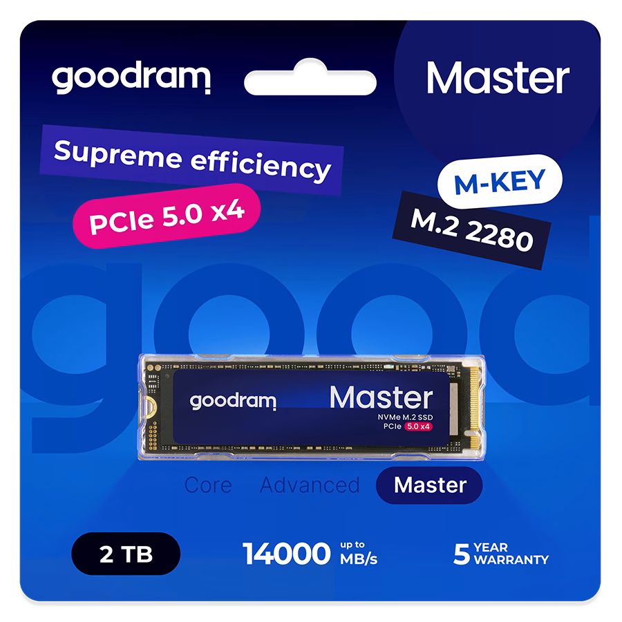 Confezione Goodram Master 2 TB